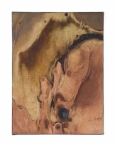 Aileen Lipkin; Fungus Growth