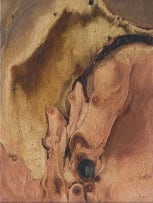 Aileen Lipkin; Fungus Growth