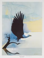 Keith Joubert; African Spoonbills; African Fish Eagle, two