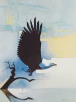 Keith Joubert; African Spoonbills; African Fish Eagle, two