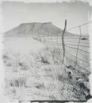 Stephen Inggs; Fence