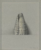Wim Blom; Cowrie Shell