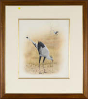 Bronwen Mellor; Secretary Birds
