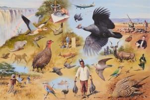 Rodger McPhail; Game Bird Shooting in Southern Africa, two