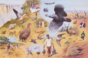 Rodger McPhail; Game Bird Shooting in Southern Africa, two
