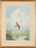 John Cyril Harrison; Bird in a Wetland Landscape; Bird in a Forest Landscape, two