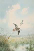 John Cyril Harrison; Bird in a Wetland Landscape; Bird in a Forest Landscape, two
