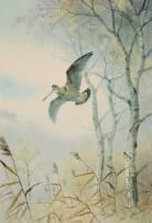 John Cyril Harrison; Bird in a Wetland Landscape; Bird in a Forest Landscape, two