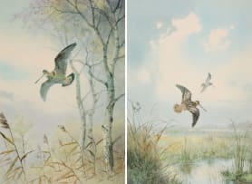 John Cyril Harrison; Bird in a Wetland Landscape; Bird in a Forest Landscape, two