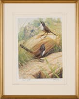 Richard Weatherly; Carpentarian Grasswren