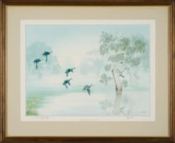 Richard Weatherly; Black Ducks Landing in the Morning Mist