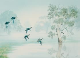 Richard Weatherly; Black Ducks Landing in the Morning Mist