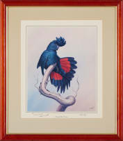 Richard Weatherly; Mountain Ash and Crimson Rosellas; Red-Tailed Black-Cockatoo, two