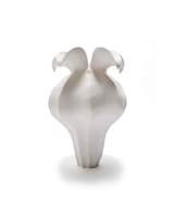 Astrid Dahl; Abstract botanical vessel