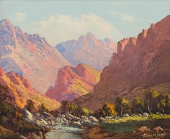 Tinus de Jongh; Gamkas Kloof (sic)