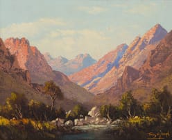 Tinus de Jongh; Swanskloof
