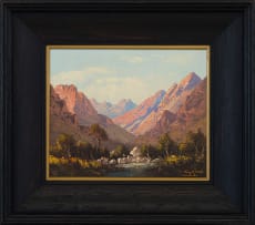 Tinus de Jongh; Swanskloof