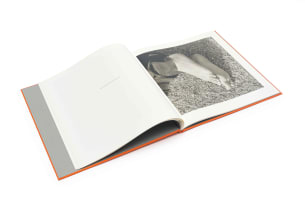 David Goldblatt; Particulars