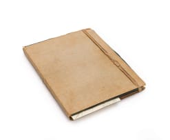 Isaac Louis Drège; Thirty botanical drawings