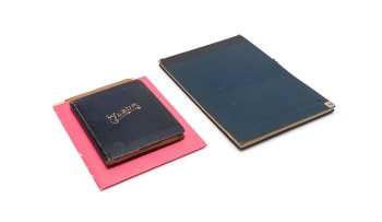 Isaac Louis Drège; A collection of Botanical watercolour studies, research and field notebooks and loose ephemera, nine