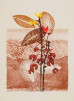 George Boys; Cosmos with Autumn Leaves