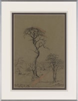 Jacob Hendrik Pierneef; Rustenburg (Acacia Trees)