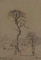 Jacob Hendrik Pierneef; Rustenburg (Acacia Trees)