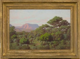 Jan Ernst Abraham Volschenk; Aloes and Memosas (sic)