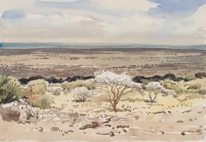 Walter Westbrook; Swarthaak in Bloom
