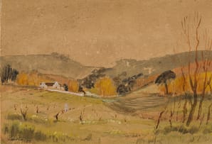 David Botha; Cape Dutch Farm