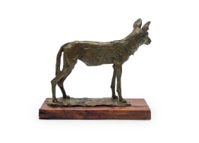 Arend Eloff; Wild Dog