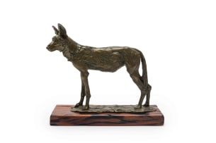 Arend Eloff; Wild Dog