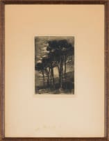 Nita Spilhaus; Cape Firs