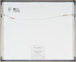 Elsabé Milandri; Untitled (Abstract Vegetation)