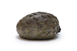 Donald Greig; Pangolin Ball