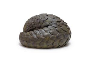 Donald Greig; Pangolin Ball