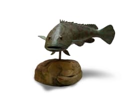 Chris Bladen; Potato Grouper