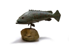 Chris Bladen; Potato Grouper