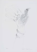 Judith Mason; A Bird in the Hand