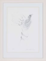 Judith Mason; A Bird in the Hand