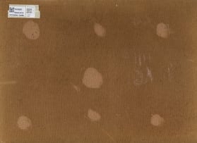 Jan Dingemans; Abstract Composition in Brown