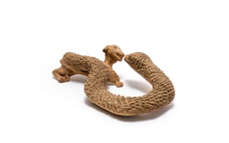 Noria Mabasa; Snake with Dog