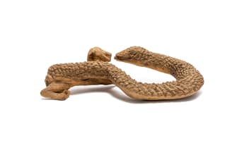 Noria Mabasa; Snake with Dog