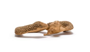 Noria Mabasa; Snake with Dog