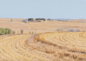 Sipho Ndlovu; After Harvesting