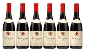 Alain Hudelot-Noëllat; Bourgogne Pinot Noir; 2016; 6 (1 x 6); 750ml