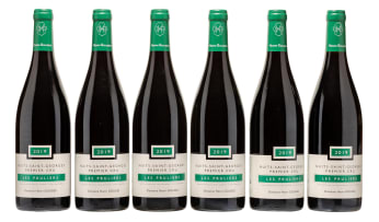 Henri Gouges; Nuits-Saint-Georges 1er Cru Les Pruliers; 2019; 6 (1 x 6); 750ml