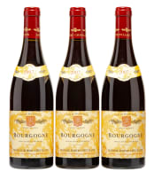 Robert Chevillon; Bourgogne Rouge; 2007; 3 (1 x 3); 750ml
