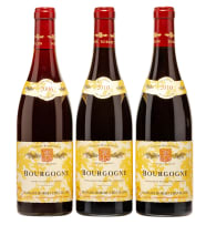Robert Chevillon; Bourgogne Rouge; 2006, 2010; 3 (1 x 3); 750ml