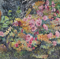 Judy Bumstead; Rupestris
